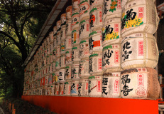 Muza chan's Japan Photo Gallery